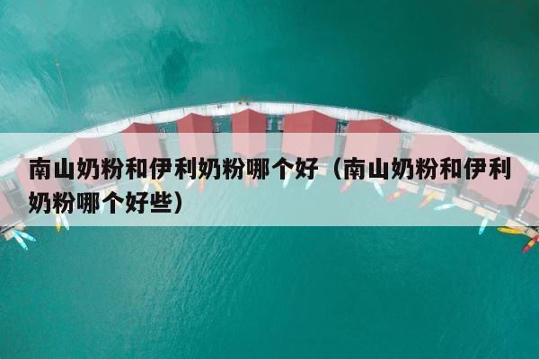 南山奶粉和伊利奶粉哪个好（南山奶粉和伊利奶粉哪个好些） 第1张