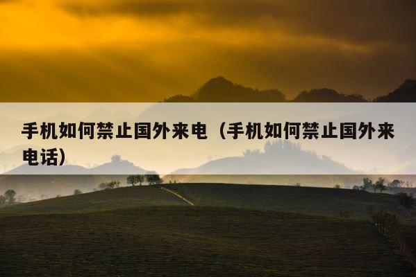手机如何禁止国外来电（手机如何禁止国外来电话） 第1张