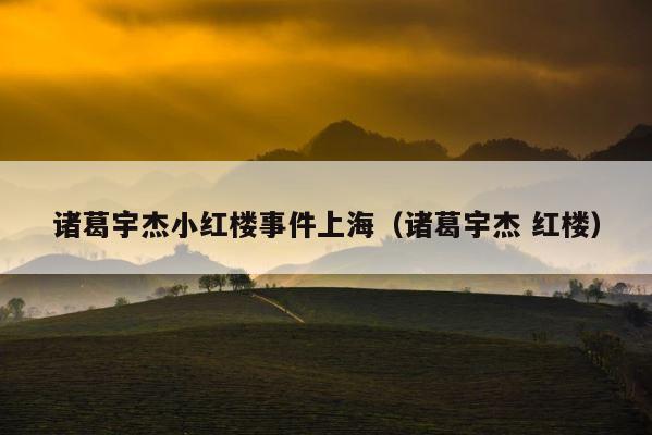 诸葛宇杰小红楼事件上海（诸葛宇杰 红楼） 第1张