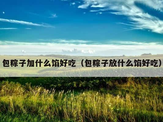 包粽子加什么馅好吃（包粽子放什么馅好吃） 第1张