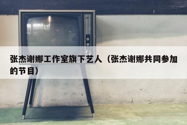 张杰谢娜工作室旗下艺人（张杰谢娜共同参加的节目） 第1张