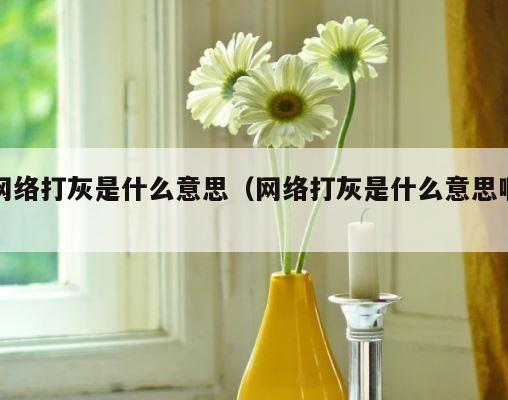 网络打灰是什么意思（网络打灰是什么意思啊） 第1张