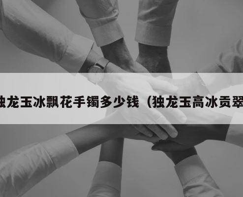 独龙玉冰飘花手镯多少钱（独龙玉高冰贡翠） 第1张