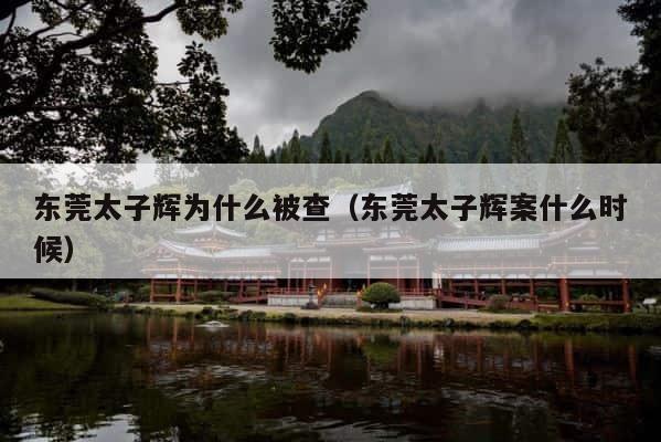 东莞太子辉为什么被查（东莞太子辉案什么时候） 第1张