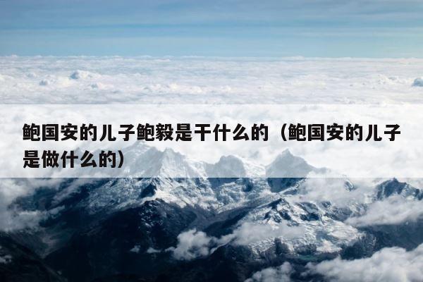 鲍国安的儿子鲍毅是干什么的（鲍国安的儿子是做什么的） 第1张