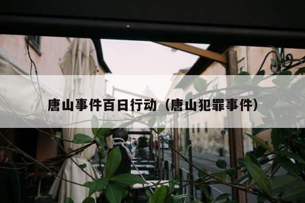 唐山事件百日行动（唐山犯罪事件） 第1张