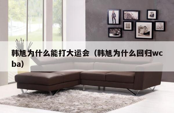 韩旭为什么能打大运会（韩旭为什么回归wcba） 第1张
