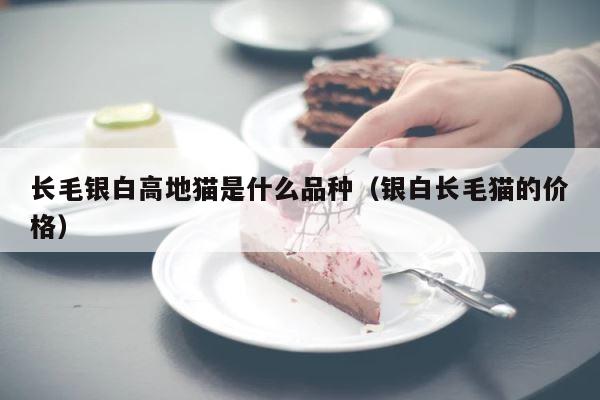 长毛银白高地猫是什么品种（银白长毛猫的价格） 第1张