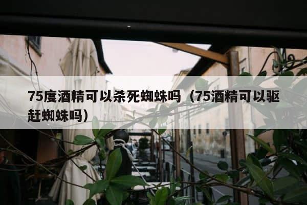 75度酒精可以杀死蜘蛛吗（75酒精可以驱赶蜘蛛吗） 第1张