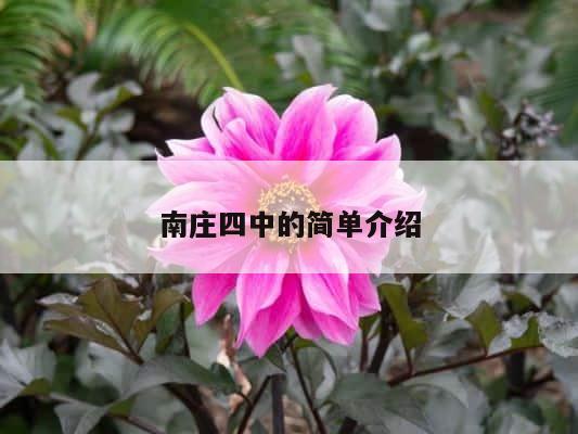 南庄四中的简单介绍 第1张