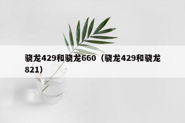 骁龙429和骁龙660（骁龙429和骁龙821） 第1张