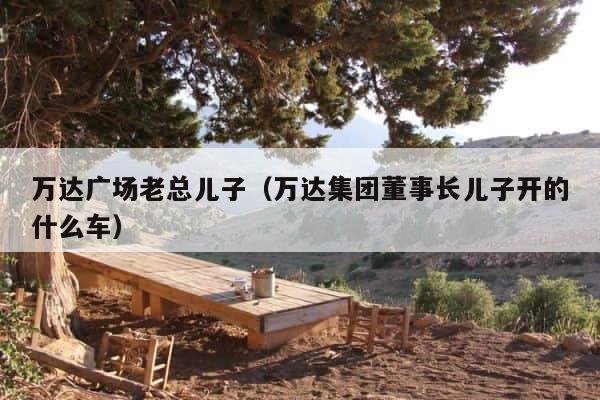 万达广场老总儿子（万达集团董事长儿子开的什么车） 第1张
