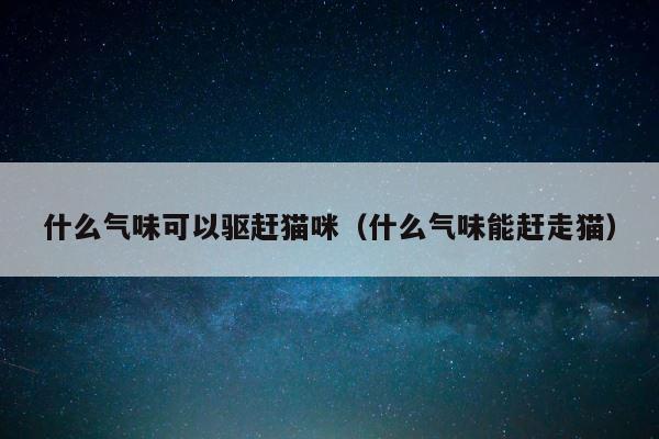 什么气味可以驱赶猫咪（什么气味能赶走猫） 第1张
