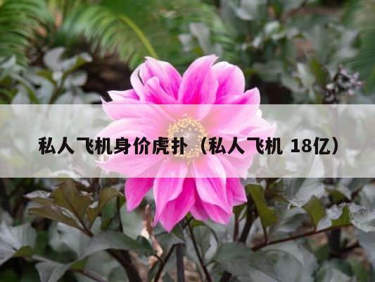 私人飞机身价虎扑（私人飞机 18亿） 第1张
