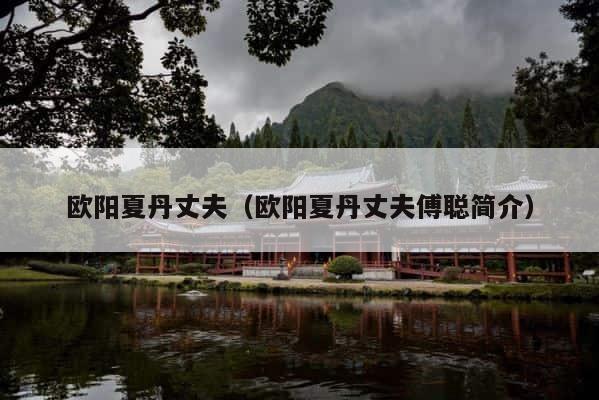 欧阳夏丹丈夫（欧阳夏丹丈夫傅聪简介） 第1张