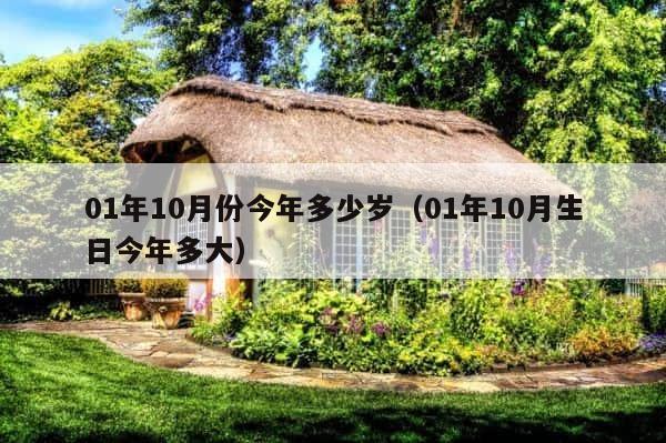01年10月份今年多少岁（01年10月生日今年多大） 第1张