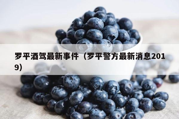 罗平酒驾最新事件（罗平警方最新消息2019） 第1张