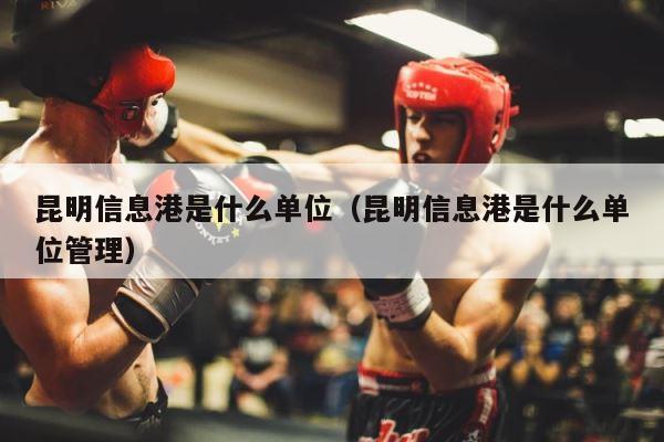昆明信息港是什么单位（昆明信息港是什么单位管理） 第1张