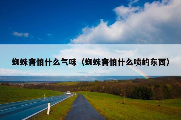 蜘蛛害怕什么气味（蜘蛛害怕什么喷的东西） 第1张