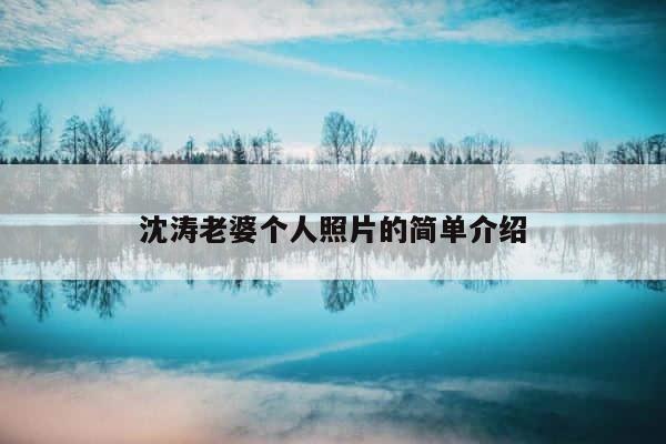 沈涛老婆个人照片的简单介绍 第1张