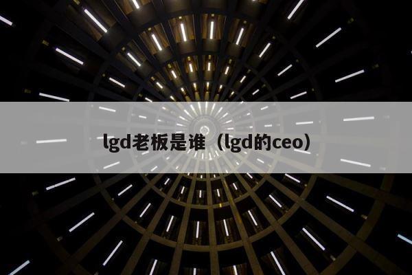 lgd老板是谁（lgd的ceo） 第1张