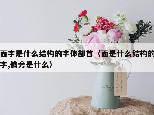 面字是什么结构的字体部首（面是什么结构的字,偏旁是什么） 第1张