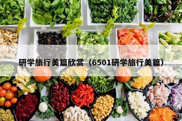 研学旅行美篇欣赏（6501研学旅行美篇） 第1张