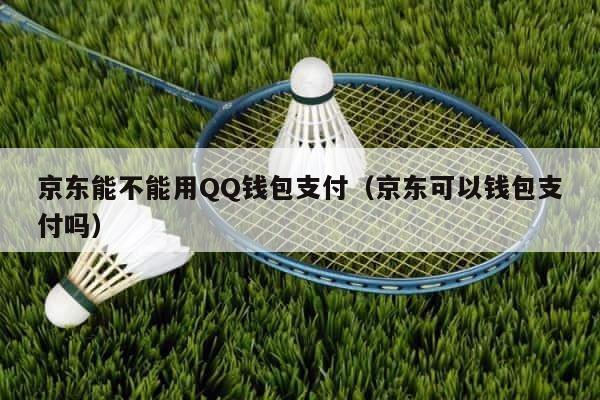 京东能不能用QQ钱包支付（京东可以钱包支付吗） 第1张