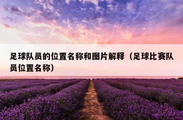 足球队员的位置名称和图片解释（足球比赛队员位置名称） 第1张