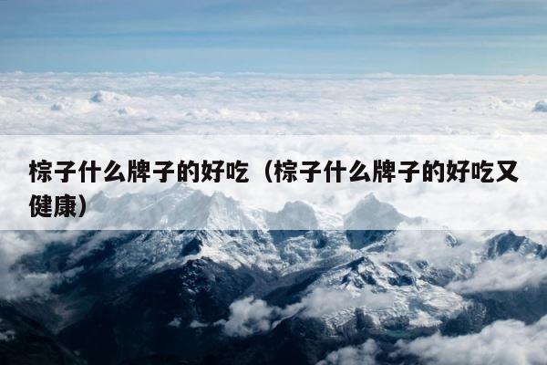 棕子什么牌子的好吃（棕子什么牌子的好吃又健康） 第1张