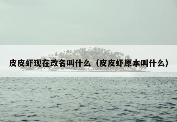 皮皮虾现在改名叫什么（皮皮虾原本叫什么） 第1张