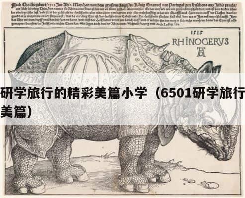 研学旅行的精彩美篇小学（6501研学旅行美篇） 第1张
