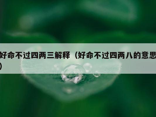 好命不过四两三解释（好命不过四两八的意思） 第1张