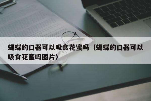 蝴蝶的口器可以吸食花蜜吗（蝴蝶的口器可以吸食花蜜吗图片） 第1张