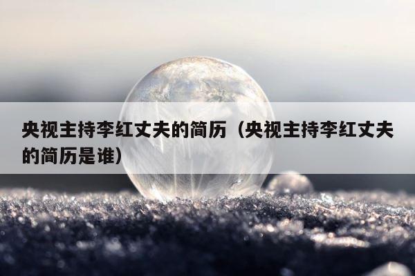 央视主持李红丈夫的简历（央视主持李红丈夫的简历是谁） 第1张