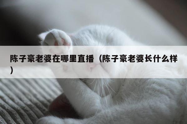 陈子豪老婆在哪里直播（陈子豪老婆长什么样） 第1张