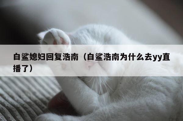 白鲨媳妇回复浩南（白鲨浩南为什么去yy直播了） 第1张