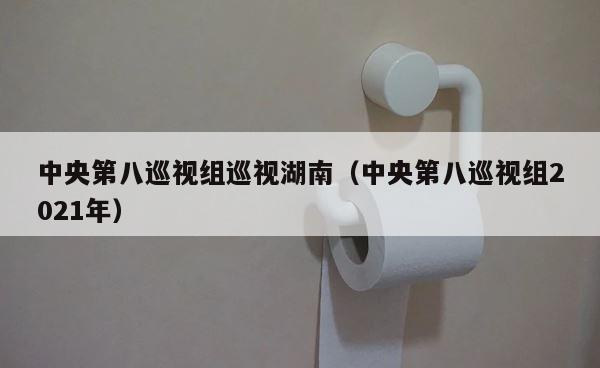 中央第八巡视组巡视湖南（中央第八巡视组2021年） 第1张