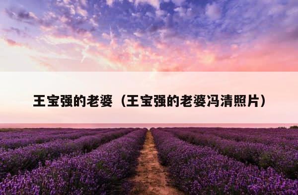 王宝强的老婆（王宝强的老婆冯清照片） 第1张