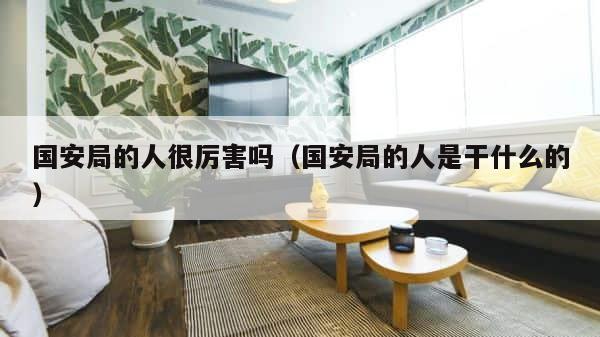 国安局的人很厉害吗（国安局的人是干什么的） 第1张
