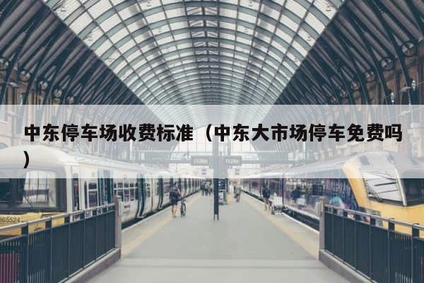 中东停车场收费标准（中东大市场停车免费吗） 第1张