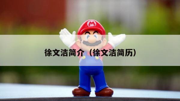 徐文洁简介（徐文洁简历） 第1张