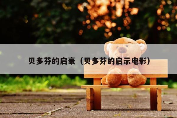 贝多芬的启豪（贝多芬的启示电影） 第1张