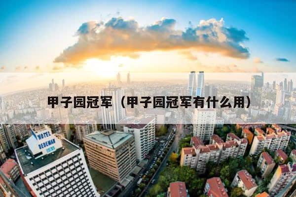 甲子园冠军（甲子园冠军有什么用） 第1张