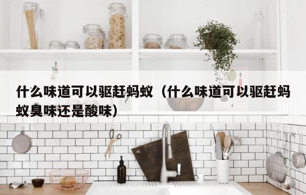 什么味道可以驱赶蚂蚁（什么味道可以驱赶蚂蚁臭味还是酸味） 第1张