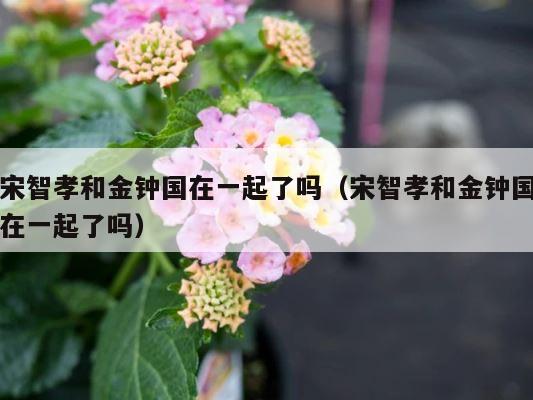 宋智孝和金钟国在一起了吗（宋智孝和金钟国在一起了吗） 第1张