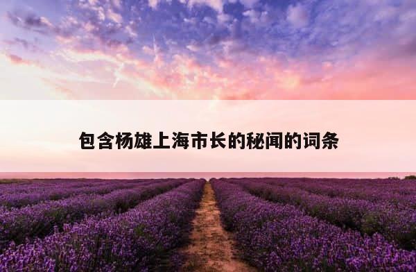 包含杨雄上海市长的秘闻的词条 第1张