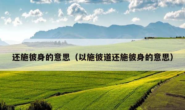 还施彼身的意思（以施彼道还施彼身的意思） 第1张