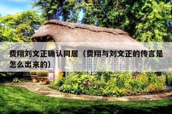 费翔刘文正确认同居（费翔与刘文正的传言是怎么出来的） 第1张