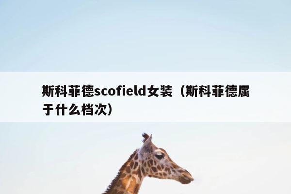 斯科菲德scofield女装（斯科菲德属于什么档次） 第1张